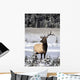 Elk Wall Mural