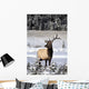 Elk Wall Mural