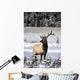 Elk Wall Mural