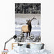 Elk Wall Mural