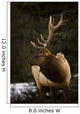 Elk Wall Mural