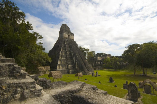 Great Plaza Tikal Guatemala Wall Mural