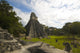 Great Plaza Tikal Guatemala Wall Mural