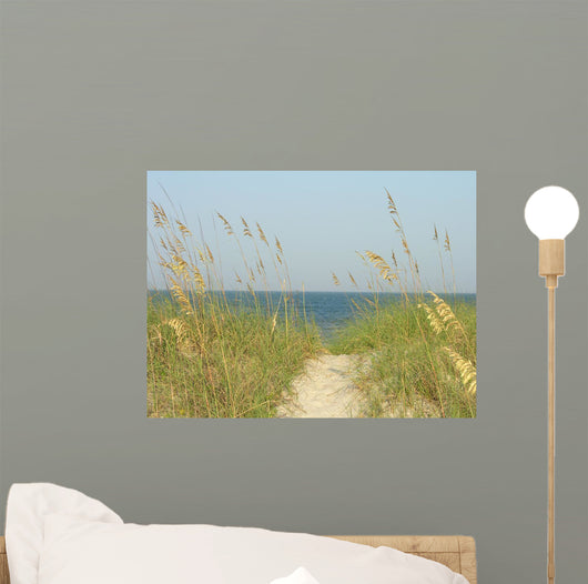 Sand Dunes Path Wall Mural