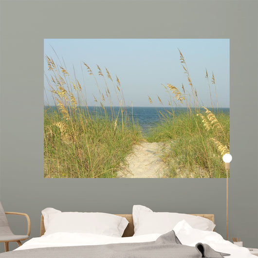 Sand Dunes Path Wall Mural