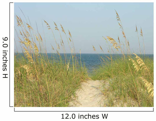 Sand Dunes Path Wall Mural