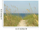 Sand Dunes Path Wall Mural