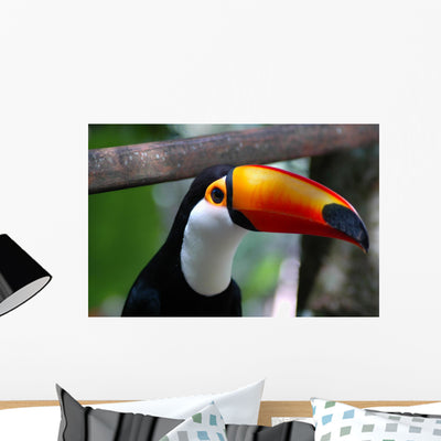 Toucan Brazil Wall Mural shown on a wall