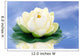Lotus blossom Wall Mural