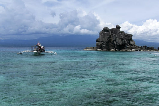 Apo Island Dive Boat