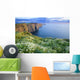 Cliffs Of Moher, Co Clare, Ireland Wall Mural