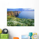 Cliffs Of Moher, Co Clare, Ireland Wall Mural