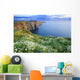 Cliffs Of Moher, Co Clare, Ireland Wall Mural
