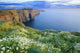 Cliffs Of Moher, Co Clare, Ireland Wall Mural