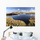 Connemara, Co Galway, Ireland Wall Mural