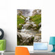 Stream In Kananaskis, Alberta, Canada Wall Mural