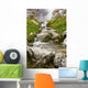 Stream In Kananaskis, Alberta, Canada Wall Mural