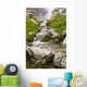Stream In Kananaskis, Alberta, Canada Wall Mural