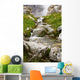 Stream In Kananaskis, Alberta, Canada Wall Mural