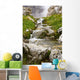 Stream In Kananaskis, Alberta, Canada Wall Mural