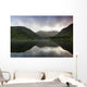Fin Lough, Delphi Valley, Co Galway, Ireland Wall Mural