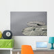 Large Lily Pads On Lake, Lake Of The Woods, Ontario, Canada Wall Mural