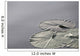 Large Lily Pads On Lake, Lake Of The Woods, Ontario, Canada Wall Mural