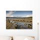 Rocky Beach, Argyll And Bute, Scotland Wall Mural
