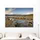 Rocky Beach, Argyll And Bute, Scotland Wall Mural