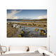 Rocky Beach, Argyll And Bute, Scotland Wall Mural