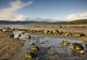 Rocky Beach, Argyll And Bute, Scotland Wall Mural