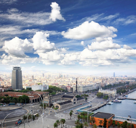 The Columbus Memorial and Downtown Barcelona Wall Mural