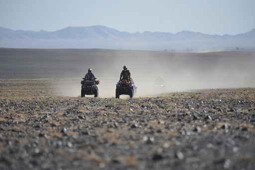 Maroc Quad Wall Decal Design 2