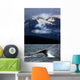 Splash From Tail Of Humpback Whale Wall Mural