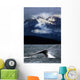 Splash From Tail Of Humpback Whale Wall Mural