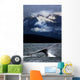 Splash From Tail Of Humpback Whale Wall Mural
