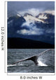 Splash From Tail Of Humpback Whale Wall Mural