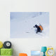 Balu Pass, British Columbia, Canada Wall Mural