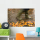 Person In Motion Walks Through Puddle Filled With Autumn Leaves Wall Mural