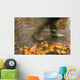 Person In Motion Walks Through Puddle Filled With Autumn Leaves Wall Mural