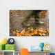 Person In Motion Walks Through Puddle Filled With Autumn Leaves Wall Mural