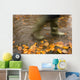 Person In Motion Walks Through Puddle Filled With Autumn Leaves Wall Mural