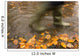 Person In Motion Walks Through Puddle Filled With Autumn Leaves Wall Mural