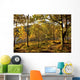 Argyll And Bute, Scotland Wall Mural