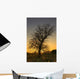 Argyll And Bute, Scotland Wall Mural