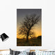Argyll And Bute, Scotland Wall Mural