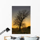 Argyll And Bute, Scotland Wall Mural