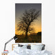 Argyll And Bute, Scotland Wall Mural
