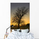 Argyll And Bute, Scotland Wall Mural