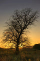 Argyll And Bute, Scotland Wall Mural